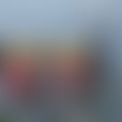 New Orleans JazzFest Review 31/5/23