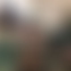 Too Much Rain 28/8/19