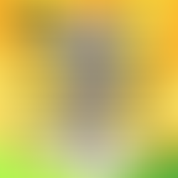 A New Day Kicks Off Today 19/8/22