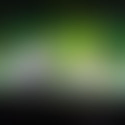 Fox In The Box 11/6/16