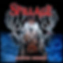 Spillage Interview 11/11/21