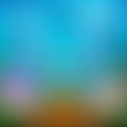 Sea Of Hidden Depths 13/11/22