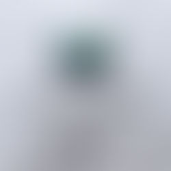 Hazzard Country 23/5/21