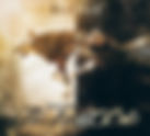 None Of This Is Right 3/2/18