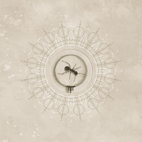 Brighten Rocks 12/10/21