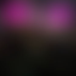 Down Memory Lane! 26/8/16