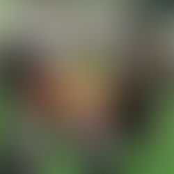 Sick Brothers Rock 28/7/22