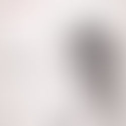 Shiraz Lane Live Stream Tonight 3/4/20