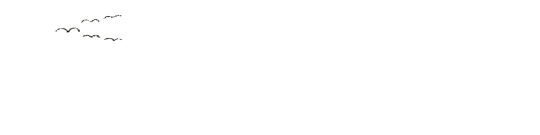 Untitled_Artwork 11.gif