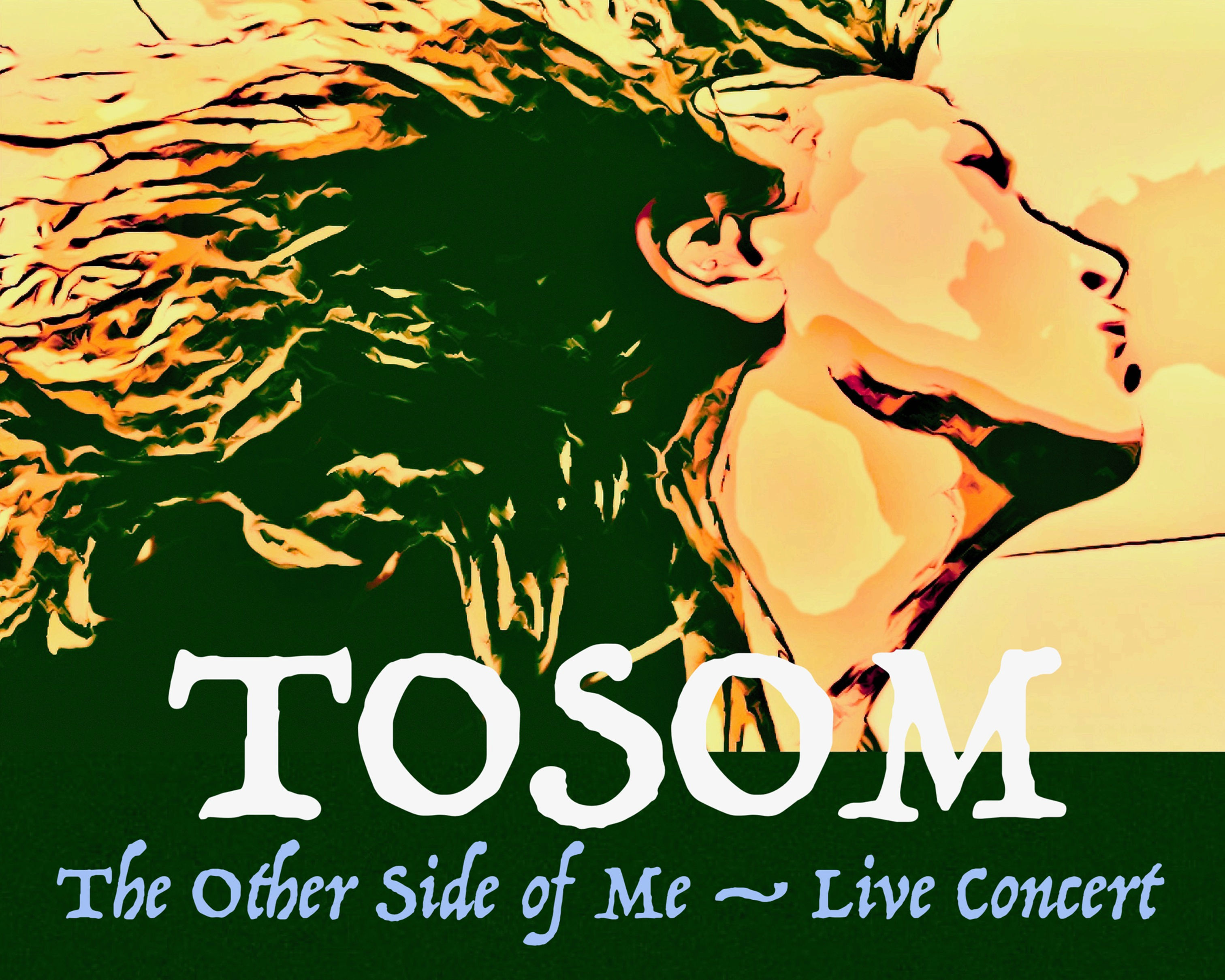 TOSOM Live (The Other Side of Me) concert (physical CD)