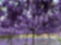 277568719_4991969254218096_2713505287321111432_n.jpg