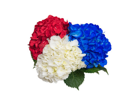 Patriotic Bouquets