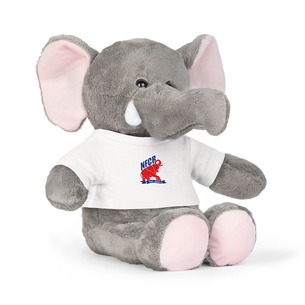 Thumbnail: Conservative Companion Stuffed Elephant