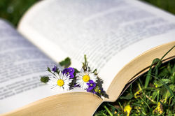 Article: 6 books to become aware of local purchasing