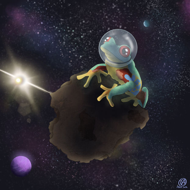 Space Frog 2.jpg