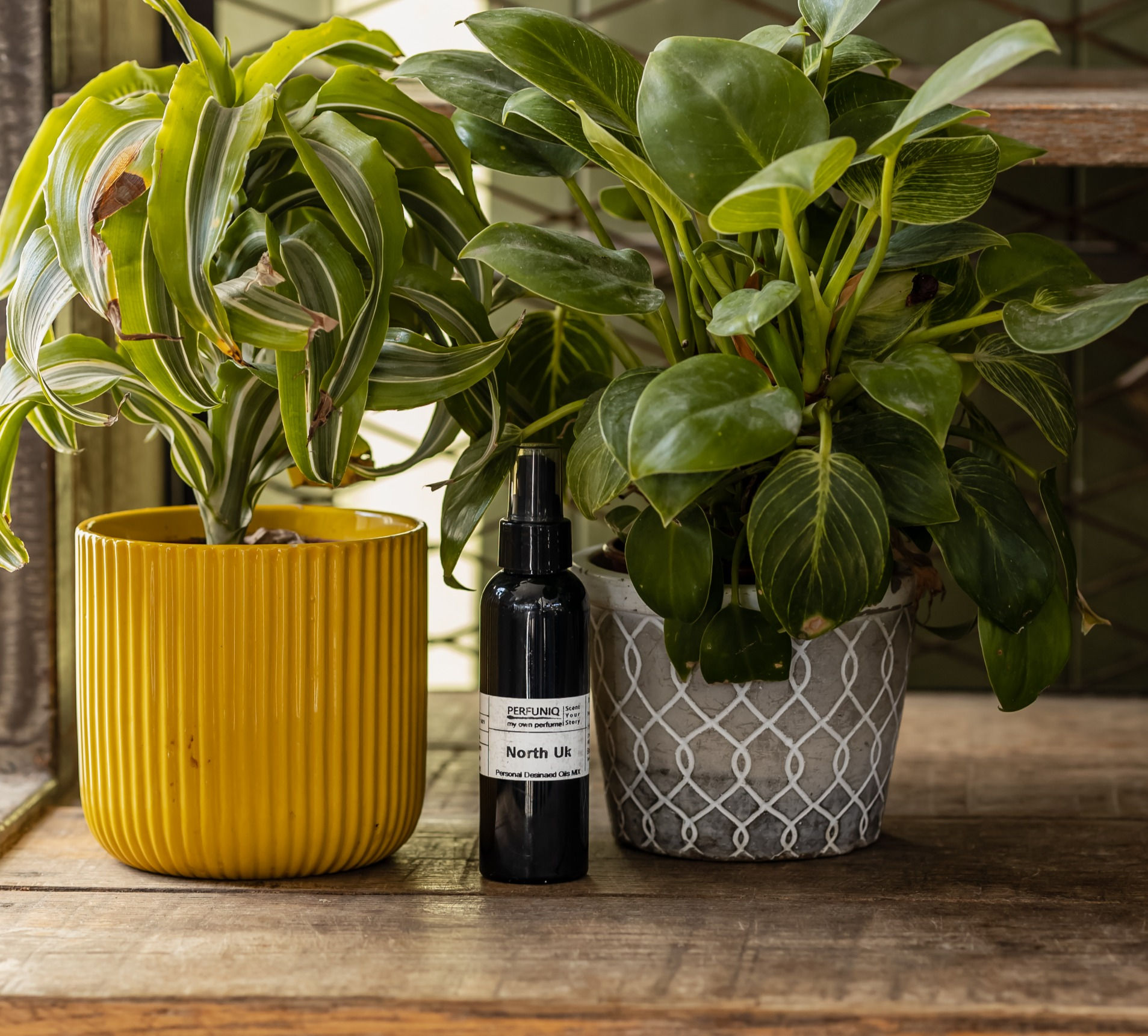 ספריי אוויר North UK