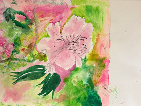 Blush of Spring