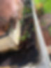 IMG_3206.jpeg