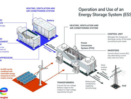 Transmission, Distribution, and Energy Storage Systems in the Power Sector