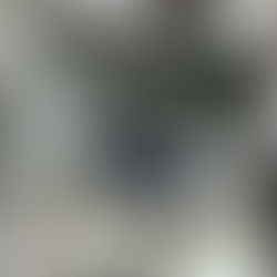 Kind people are really rich | MDS2025#2