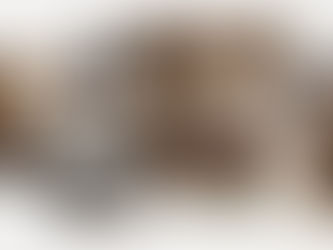 Moodboard contrast interieur – combinatie van natuurlijke tinten, warme materialen en sculpturale vormen in hedendaags interieurontwerp. Samenspel van oud en nieuw, matte texturen, donker rood natuursteen en organische details – inspiratie van Interieurstudio Daphne.