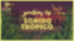sonic jungle 12-22