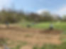 IMG_1931.jpeg