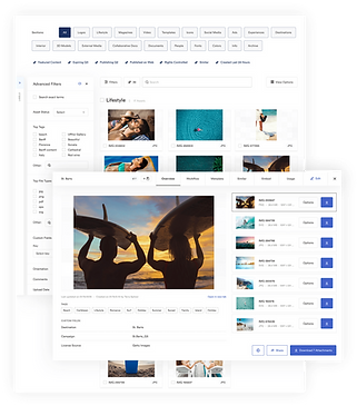 Brandfolder Asset and Version View