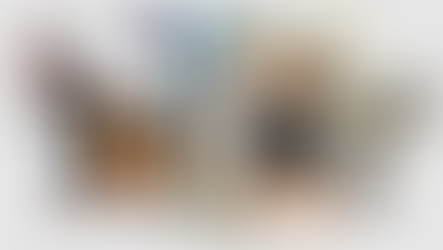 El arte de hacer caricaturas o dibujos animados