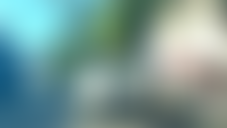 Carros maceta y talleres en la calle obstruyen la libre vialidad