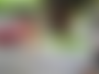 22 de diciembre.- Día del Agente de Tránsito