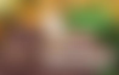 7 de Julio: Día Mundial del Cacao