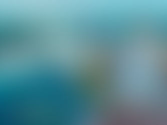 FIESTA PATRONAL DE TEOCELO