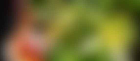 Ciencia y belleza en el Festival Internacional de la Orquídea 2026