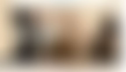 8 de Agosto: Día Internacional del Gato