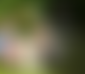 3 de agosto.- Día Internacional de la Planificación Familiar