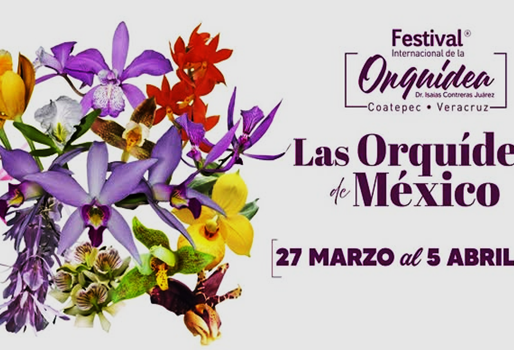 Coatepec se prepara para el Festival Internacional de la Orquídea
