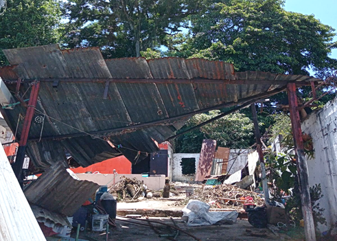 Caída de árbol daña vivienda y afecta a familia Ecología había dicho que no había riesgo