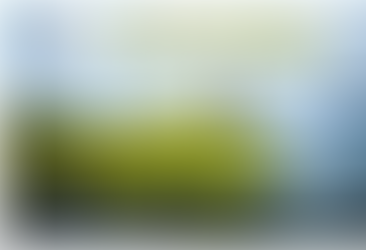 26 de julio: Día Internacional de Conservación del Ecosistema de Manglares