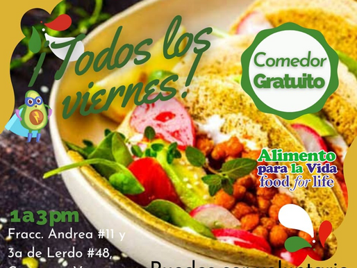 Conciencia y Salud - Por Karuna Seva A. C.