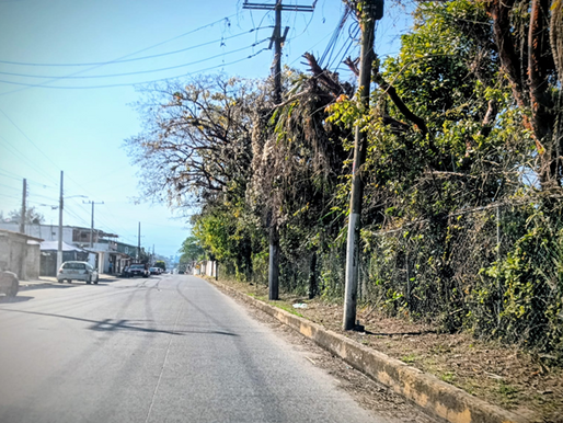 Atiende Ayuntamiento queja sobre maleza en calle Libertad