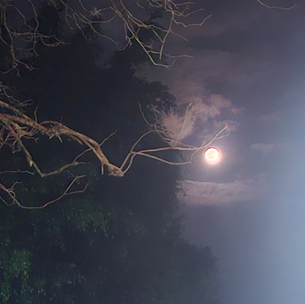 LUNA LLENA