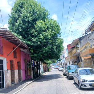 ¿USTED QUÉ OPINA?