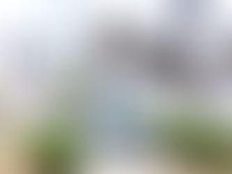 Sector cultural y educativo en contra del retiro del busto de María Enriqueta