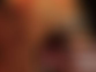 10 de agosto: Día Mundial del León