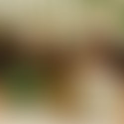 CONCIENCIA Y SALUD POR KARUNA SEVA A.C.