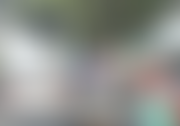 Puestos en el arroyo vial