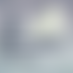 27 de febrero: Día Internacional del Oso Polar