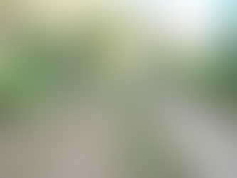 ANDADOR NATURAL, ÁREA NATURAL PROTEGIDA