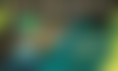 Este domingo, jornada de reforestación en Veracruz